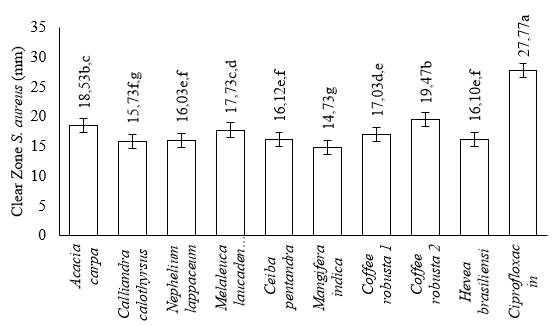 Figure 3: The antibacterial activity of monofloral honey against Staphylococcus aureus