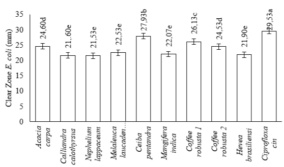 Figure 4: The antibacterial activity of monofloral honey against Escherichia coli