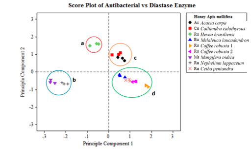 Figure 5: Score plot results on antibacterial and diastase enzyme activity