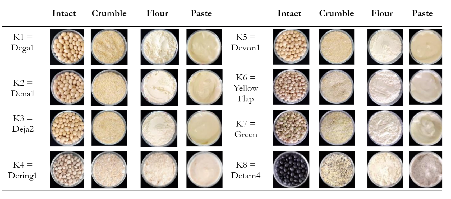 Figure 3  Figures of different soybean genotypes in bulk, crumble, flour, and paste forms