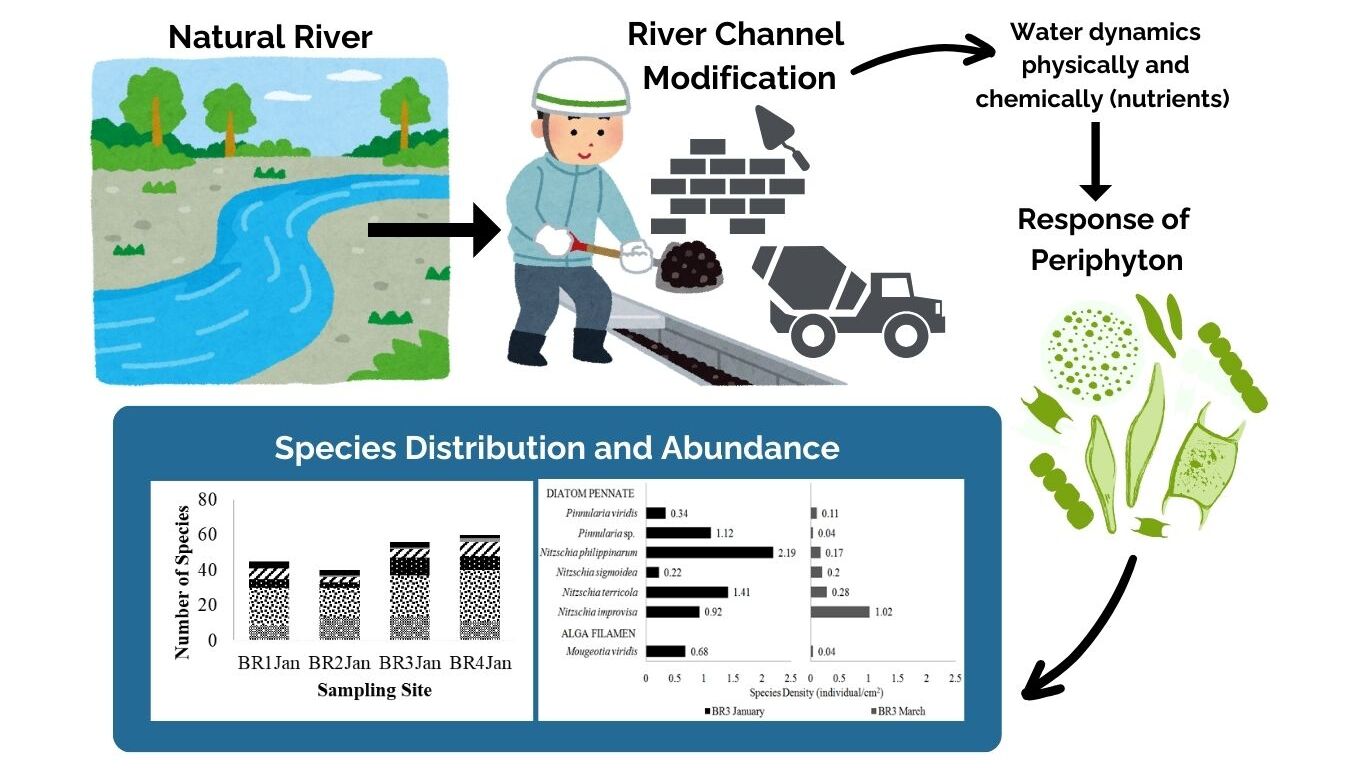  ECOLOGICAL EFFECTS OF BELIK RIVER HYDRAULIC CHARACTERISTICS