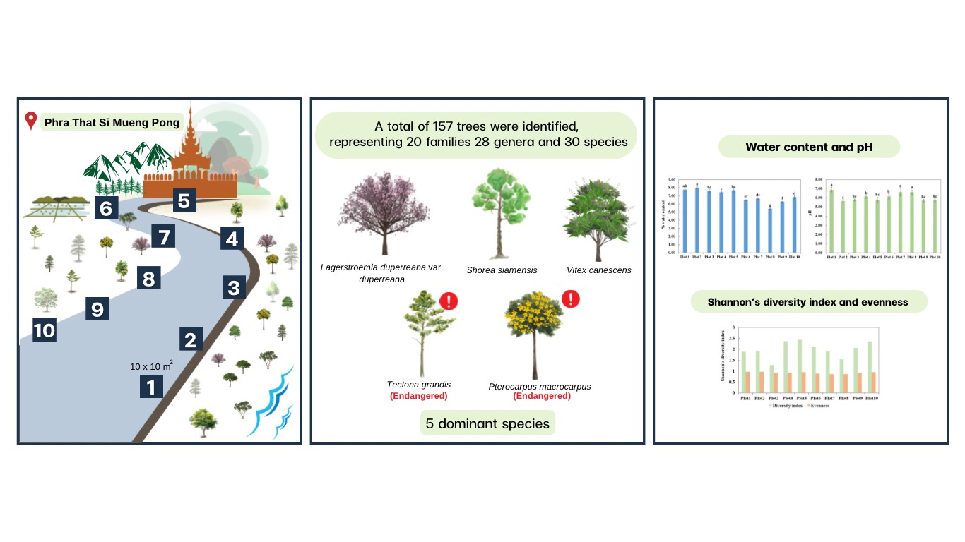 TREE SPECIES DIVERSITY IN PHRA THAT SI MUEANG PONG AREA, CHIANG MAI PROVINCE